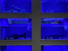 -七采菌园·野生菌石锅鱼(环城北路店)
