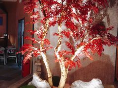 -韩京炭火烤肉自助料理(柯桥万达店)