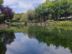 -昆山城市公园
