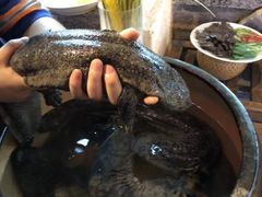 -印象鲵宴·张家界地标美食名片(溪布街店)