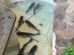 -春盛渔府(牛首山店)