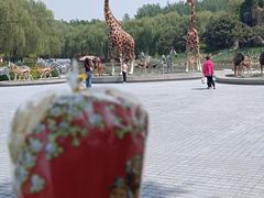 -北京野生动物园