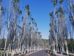 -东郊湿地公园