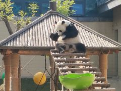 -石家庄市动物园