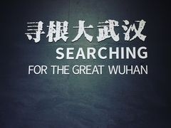 -盘龙城国家考古遗址公园