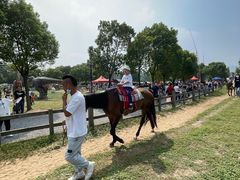 -田园东方蜜桃村的田野营地