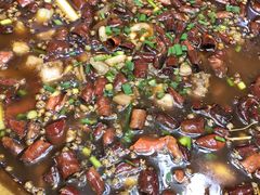 -西木兔(大圆祥店)