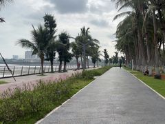 -万绿园