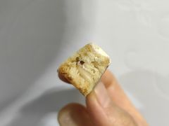 松仁奶酥-祥禾饽饽铺·中式糕点(北京来福士店)