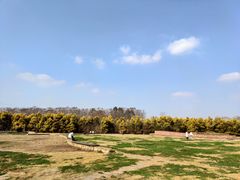 -白鹭湾湿地公园