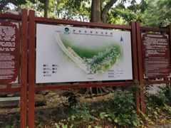 -伊岭岩风景区