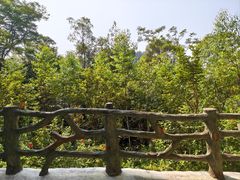-白云山风景名胜区