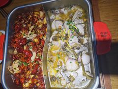 酸菜鱼-舒来喜鱼锅(伊河路店)