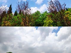 -云漫湖生态度假公园