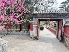 -潭柘寺景区