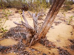 -亿利库布其七星湖沙漠生态旅游区