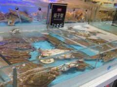 -同庆楼(滨湖万达广场店)