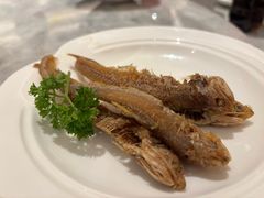 -喜来登由由大酒店九州膳坊中餐厅