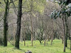 -杭州植物园