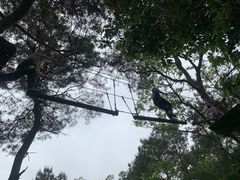 -芦仙山景区-飞越丛林探险乐园