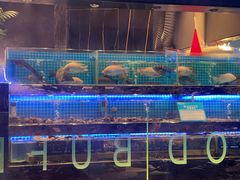 -喜庭海鲜自助(深圳万丰海岸城店)