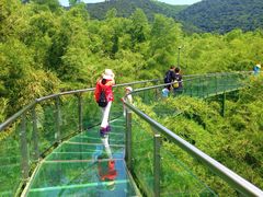 -陶祖圣境风景区