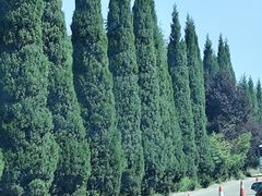 -黄河小浪底水利枢纽风景区