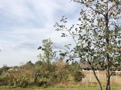 -安德鲁户外烧烤帐篷营地(马泉营店)