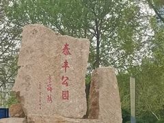 -泰丰公园