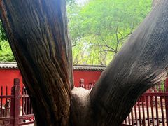 -晋祠博物馆