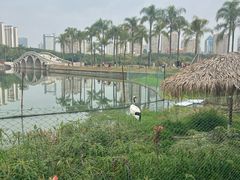 -南宁南湖公园
