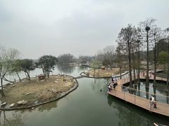 -武汉动物园