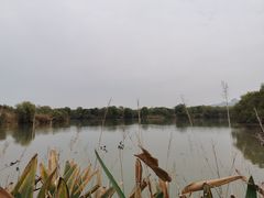 -长兴太湖图影湿地文化园