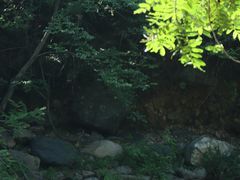 -石台牯牛降景区