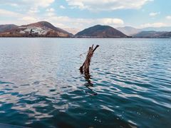 -洱海月湿地公园