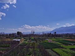 -翠田Green Field Kitchen