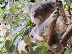 -费瑟代尔野生动物园