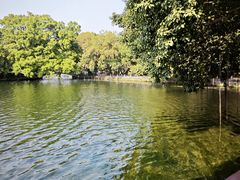 -荔湾湖公园