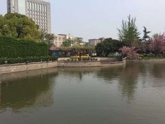 -嘉定紫藤园