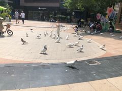 -中粮·祥云小镇