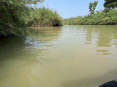 -泗洪洪泽湖湿地景区