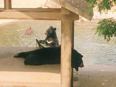 -石家庄市动物园