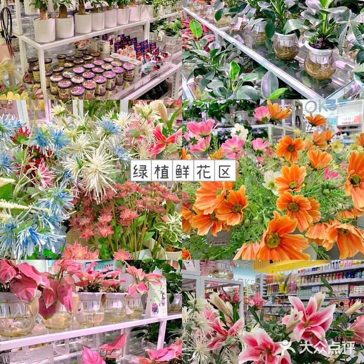 杭州zui美平价生活集合馆👧🏻买到停不下来