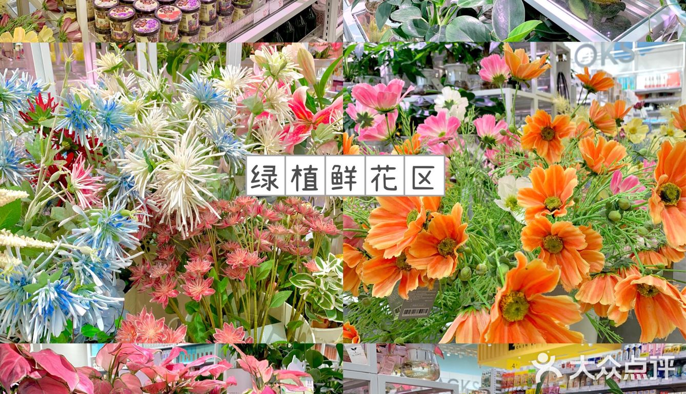 杭州zui美平价生活集合馆👧🏻买到停不下来