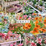 杭州zui美平价生活集合馆👧🏻买到停不下来