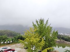 -黄牛肉馆·皖南土菜