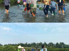 -红树林天天赶海