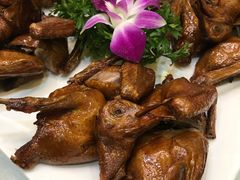 -大鸽饭(马王堆店)