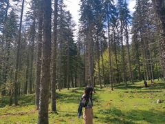 -硗碛藏寨·神木垒景区