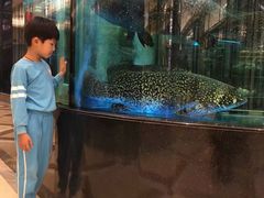 -金翠皇宫粤菜·点心·海鲜(科技园店)